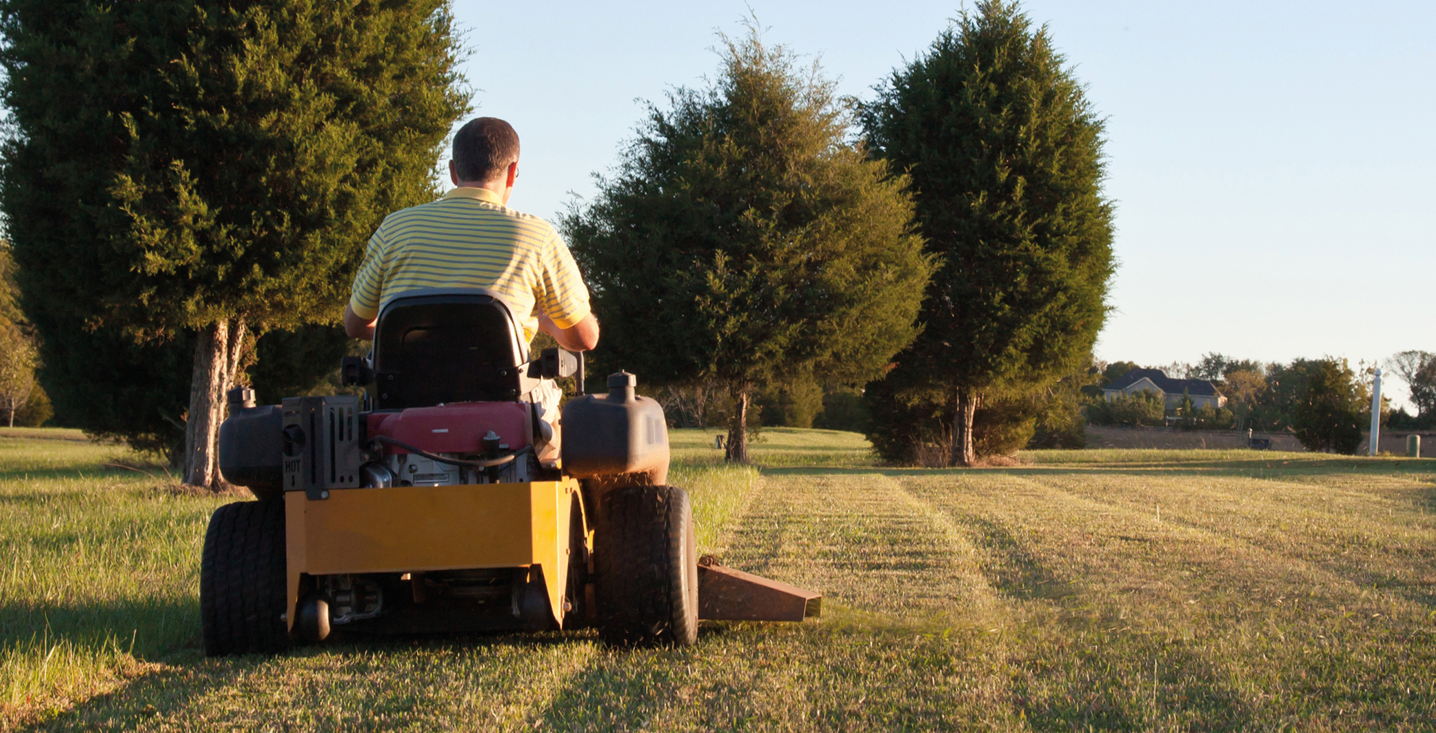 Morris Website News Header graphics - Horticultural Training.jpg